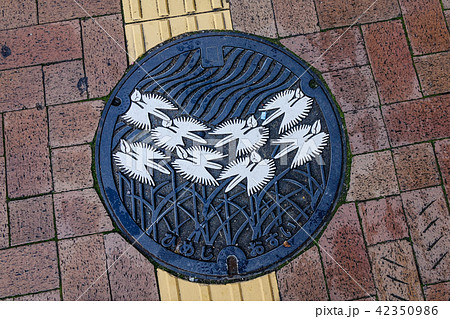 Manhole cover on street 42350986