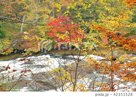 深まる秋 色鮮やかな紅葉に染まる奥日光中善寺湖に流れる湯川の絶景の写真素材