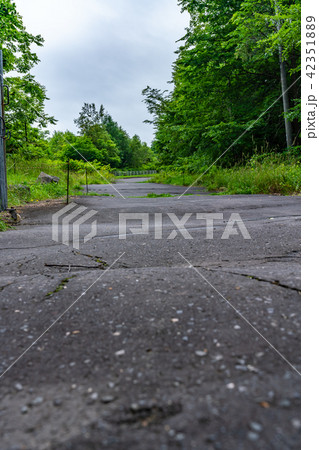 北海道 洞爺湖 西山火山口散策路 北海道 洞爺湖 西山火山口散策路 42351889