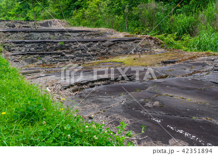 北海道 洞爺湖 西山火山口散策路 北海道 洞爺湖 西山火山口散策路 42351894