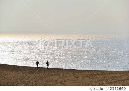 砂丘の放浪者 42352669