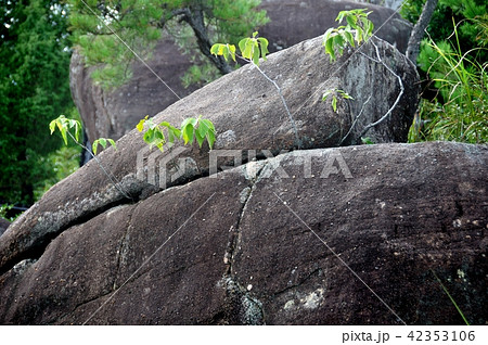 天草千巌山の奇岩怪石 42353106