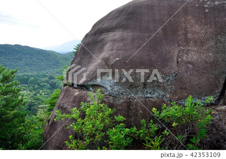 天草千巌山の奇岩怪石 天草千巌山の奇岩怪石 42353109