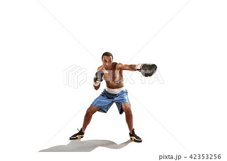 Sporty man during boxing exercise. Photo of boxer on white background 42353256