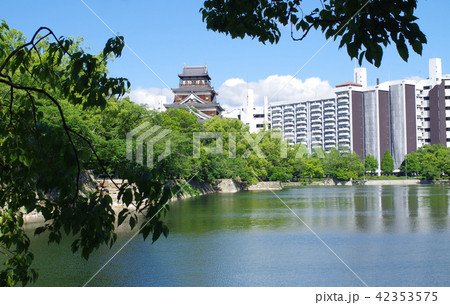 6月の広島城の堀と天守 6月の広島城の堀と天守 42353575