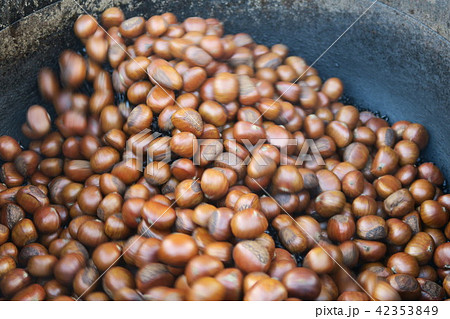 甘栗 甘栗 42353849