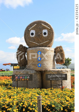 北海道四季彩の丘 42354325