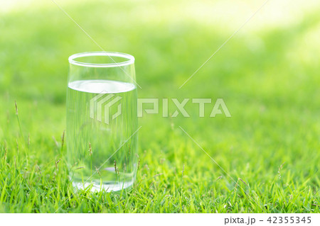 Closeup glass of water on green grass nature  42355345
