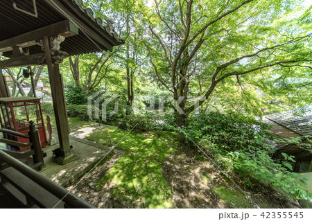 紫陽花の寺 久安寺 42355545
