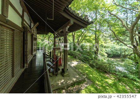 紫陽花の寺 久安寺 42355547