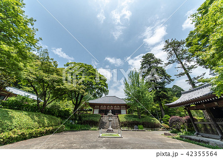 紫陽花の寺 久安寺 紫陽花の寺 久安寺 42355564