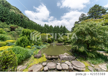 紫陽花の寺 久安寺 紫陽花の寺 久安寺 42355569