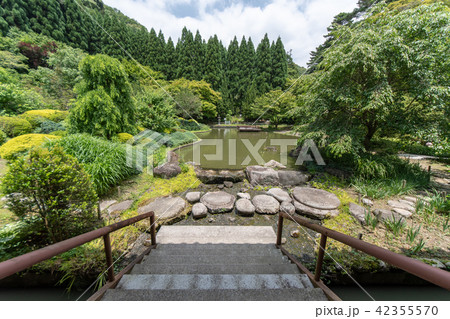紫陽花の寺 久安寺 紫陽花の寺 久安寺 42355570