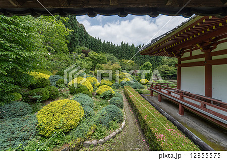 紫陽花の寺 久安寺 42355575