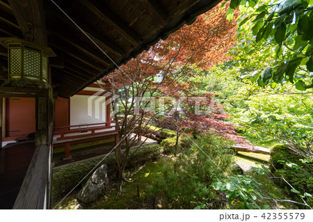 紫陽花の寺 久安寺 42355579