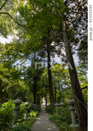紫陽花の寺 久安寺 紫陽花の寺 久安寺 42355595