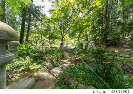 紫陽花の寺 久安寺 42355601
