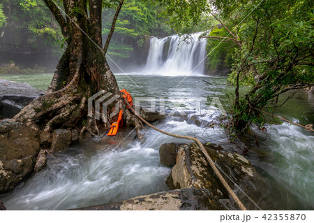 the beautiful waterfall in Thailand the beautiful waterfall in Thailand 42355870
