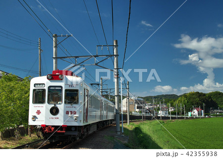 白い電車 42355938