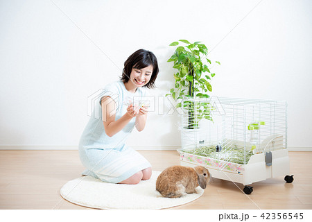 ペット　女性　ライフスタイル 42356545