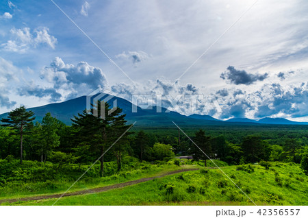 北軽井沢の牧草地 42356557