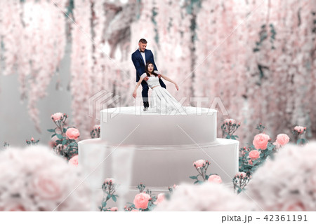 Wedding cake, bride and groom, marriage proposal Wedding cake, bride and groom, marriage proposal 42361191