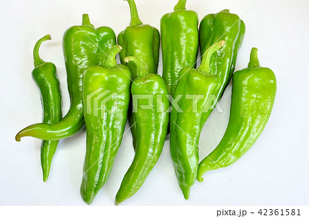 万願寺とうがらし 42361581
