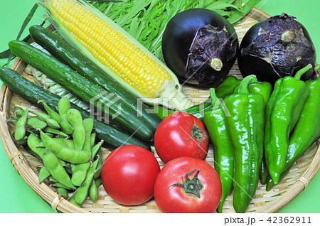 夏の京野菜 42362911