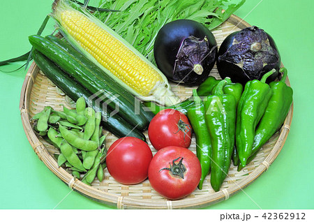 夏の京野菜 42362912