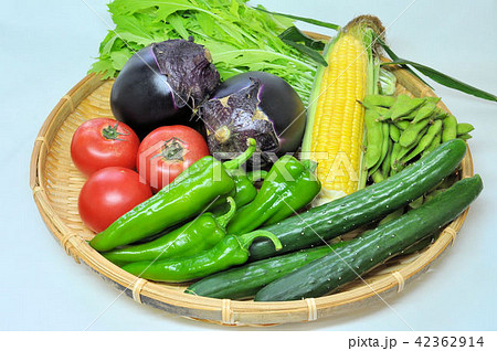 夏の京野菜 42362914