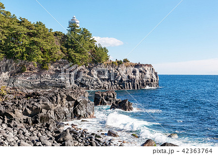 城ヶ崎　(1月　晴れ　伊豆半島) 42363764