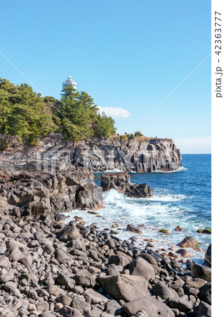 城ヶ崎　(1月　晴れ　伊豆半島) 42363777