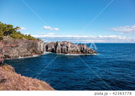 城ヶ崎　(1月　晴れ　伊豆半島) 42363778