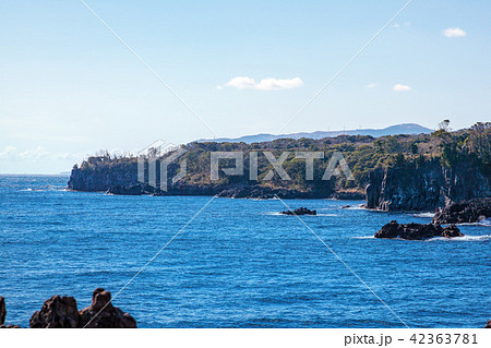 城ヶ崎　(1月　晴れ　伊豆半島) 42363781