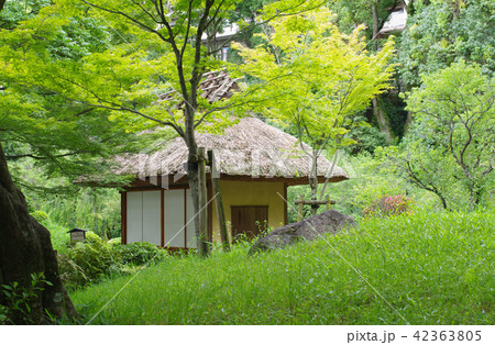 名勝縮景園の夕照庵 名勝縮景園の夕照庵 42363805