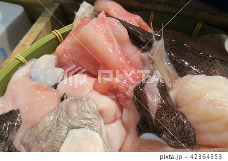 あんこう 42364353