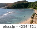 ハナウマ湾 42364521