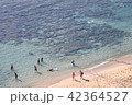 ハナウマ湾 42364527