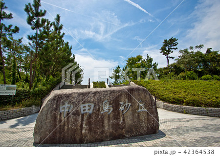 中田島砂丘1 42364538