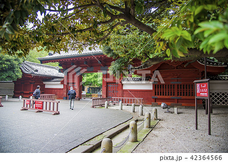 【東京大学　赤門】 42364566