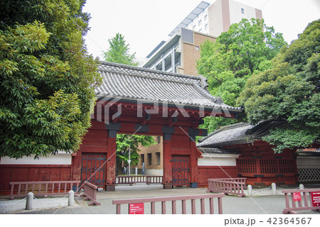 【東京大学　赤門】 42364567