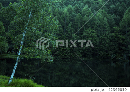 御射鹿池 42366050