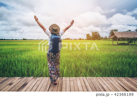 Woman traveller hiking Asian rice field landscape. Woman traveller hiking Asian rice field landscape. 42366199