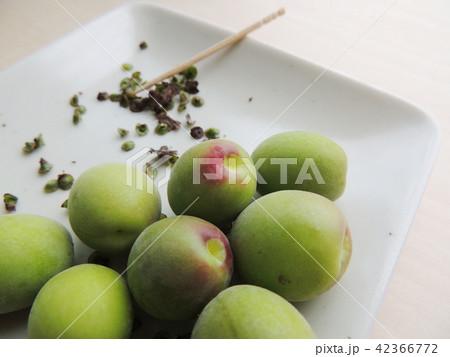 梅のヘタ取り 42366772