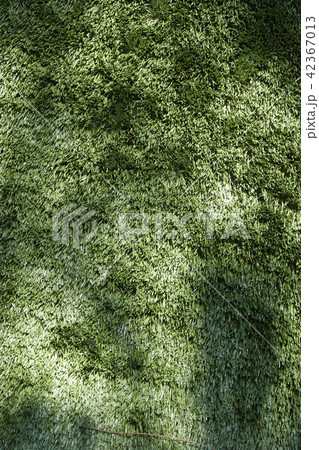 artificial grass 42367013