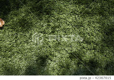 artificial grass artificial grass 42367015