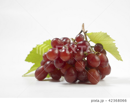 grape 42368066