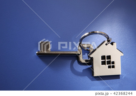 key ring 42368244