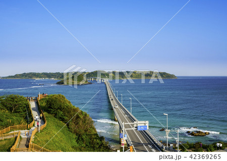 角島　角島大橋 42369265