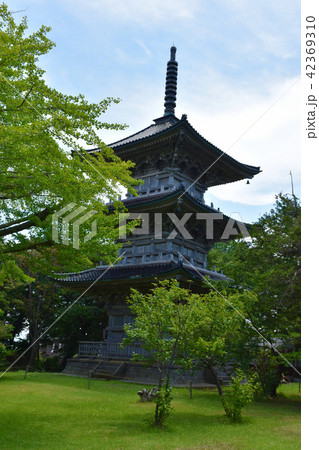五智国分寺 三重塔 親鸞聖人ゆかりの寺 五智国分寺 三重塔 親鸞聖人ゆかりの寺 42369310